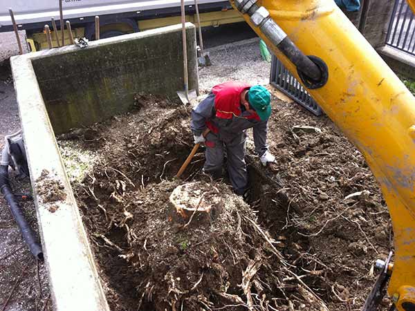 Trattamenti-antiparassitari