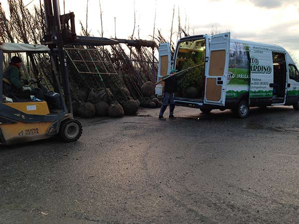 Tutto-giardino-potatura-viarolo
